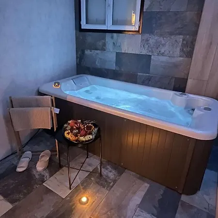 La Splenzia Jacuzzi Wifi Clim * Avignon